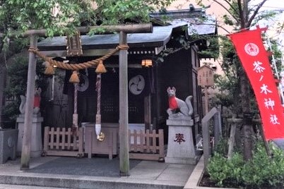 お社に植えられた茶の木の写真